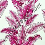 Colour:C