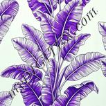 Colour:D