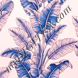 Colour:J