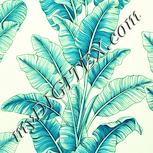 Colour:K