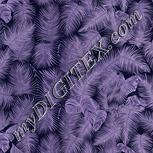 Colour:F