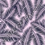 Colour:F
