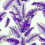 Colour:D