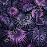 Colour:B