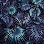 Colour:C