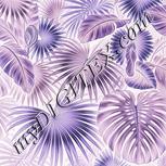 Colour:F