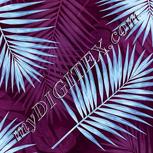 Colour:F