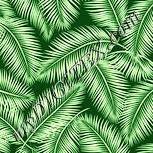 Colour:K