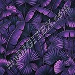 Colour:B