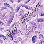 Colour:F