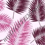 Colour:B