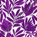 Colour:B