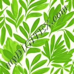 Colour:K