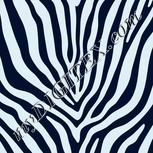 Colour:F
