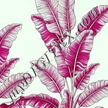 Colour:C