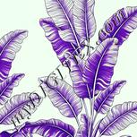 Colour:D