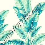 Colour:K