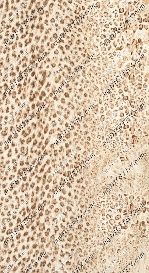 EBE 0008064