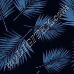 Colour:F