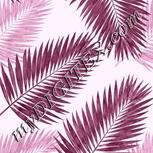 Colour:B