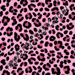 Colour:B