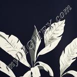 Colour:A