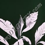Colour:B