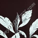 Colour:C