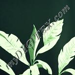 Colour:K