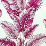 Colour:C