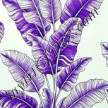 Colour:D