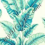 Colour:K