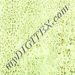 Colour:K
