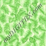 Colour:K