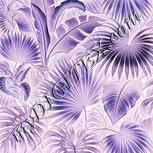 Colour:F