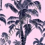 Colour:F