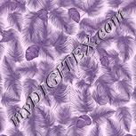 Colour:B