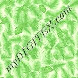Colour:K