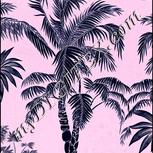 Colour:F