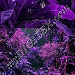 Colour:B