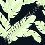 Colour:K
