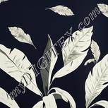 Colour:A