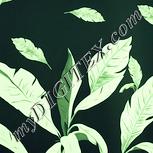 Colour:K