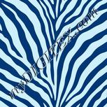 Colour:F