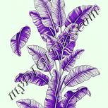 Colour:D