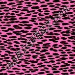 Colour:B