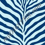 Colour:F