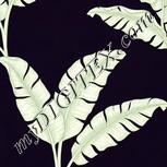 Colour:D