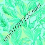 Colour:C