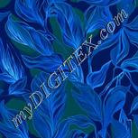 Colour:F